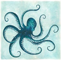 Octopus II Framed Print