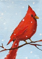 Cardinal I Fine Art Print