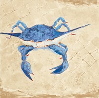Blue Crab VI Neutral Fine Art Print