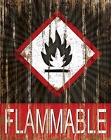 Flammable Framed Print