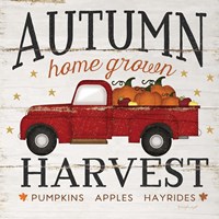 Autumn Harvest Framed Print