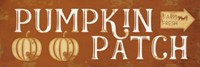 Pumpkin Patch Fine Art Print