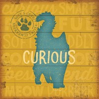 Curious Cat Framed Print