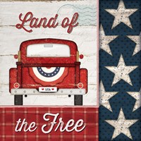 Land of the Free Framed Print