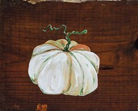 White Pumpkin Fine Art Print