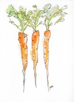 Carrots Framed Print