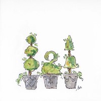 Plants Fine Art Print