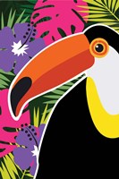 Tropical Toucan Framed Print