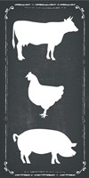 Farm Animals Fine Art Print