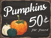 Pumpkins 50 Cents Framed Print