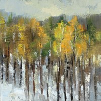 January Landscape Framed Print
