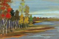 Young Aspens Fine Art Print