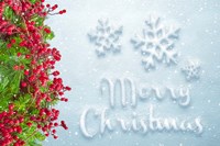 Merry Christmas Fine Art Print