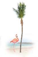 Flamingo in Paradise Fine Art Print