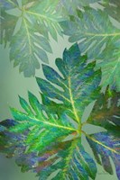 Tropical Leaves III Fine Art Print