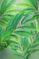 Tropical Leaves IV Framed Print