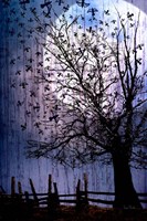 Bird Swarm Fine Art Print