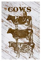 Cows Fine Art Print