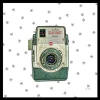Vintage Camera Framed Print