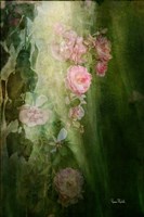 Evening Light on Roses II Fine Art Print