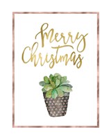 Merry Christmas Succulent Fine Art Print
