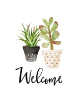 Welcome Succulents Fine Art Print