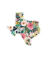 Texas Floral Collage II Fine Art Print