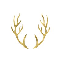 Gold Antlers Fine Art Print