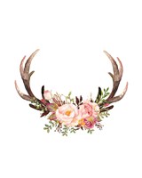Floral Antlers Fine Art Print