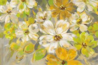 Scattered Spring Petals Fine Art Print