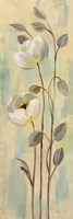 Neutral Anemone Branches II Fine Art Print