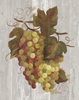 Autumn Grapes IV on Wood Framed Print