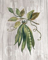 Market Vegetables II on Wood Framed Print