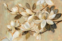 Magnolia Simplicity Fine Art Print