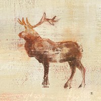 Elk Study Fine Art Print