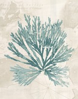 Pacific Sea Mosses II borderless Framed Print