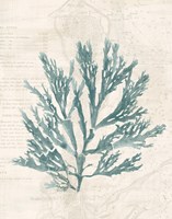 Pacific Sea Mosses I Borderless Framed Print
