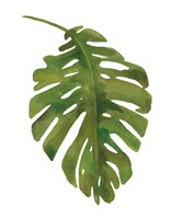 Tropical Palm I Framed Print