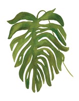 Tropical Palm II Framed Print