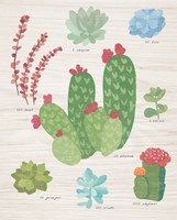 Succulent Chart IV on Wood Fine Art Print