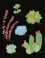 Succulent Chart IV Framed Print