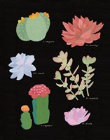 Succulent Chart V Fine Art Print