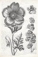 Eden Spring I Fine Art Print