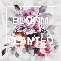 Bloom Where You Are Planted Fine Art Print