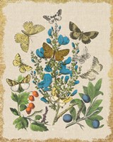 Butterfly Bouquet II Linen Fine Art Print