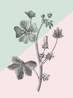 Conversations on Botany VII Color Block Framed Print