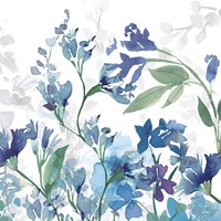 Colors of the Garden III Cool Shadows Framed Print