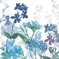 Colors of the Garden II Cool Shadows Framed Print