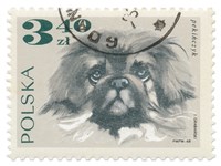 Poland Stamp III on White Framed Print