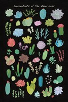 Succulent Chart I of the Americas Fine Art Print